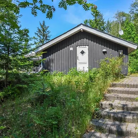 Tatil Evi C11234-hemmet-raevekrogen-14